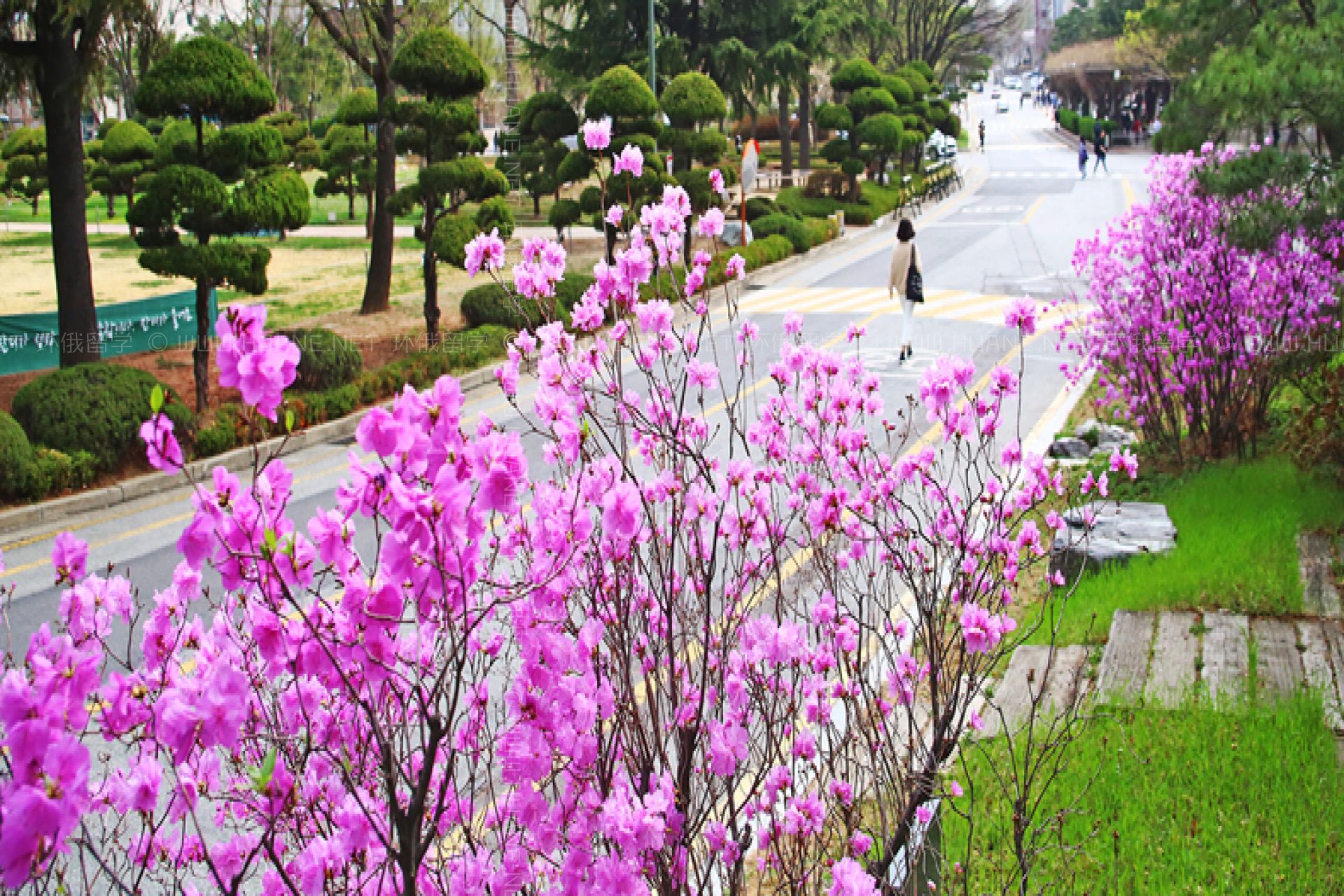 建國大學(xué)