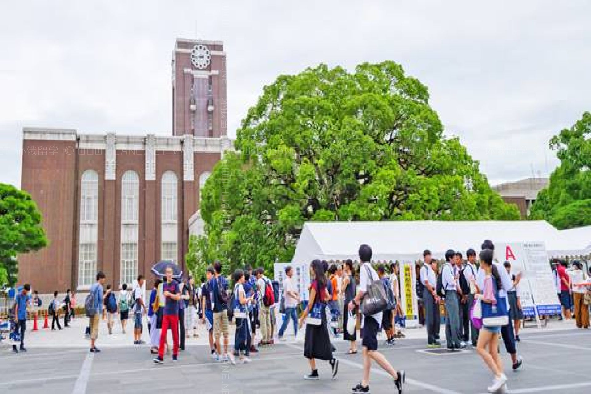 京都大學