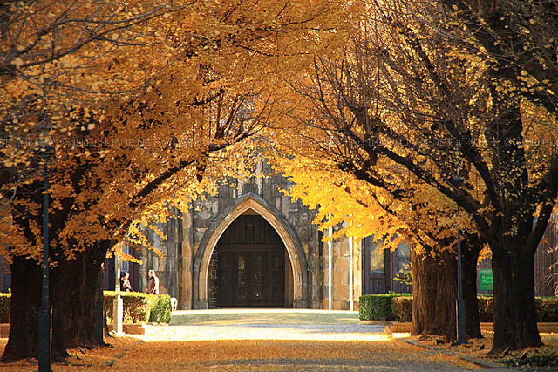 東京大學(xué)