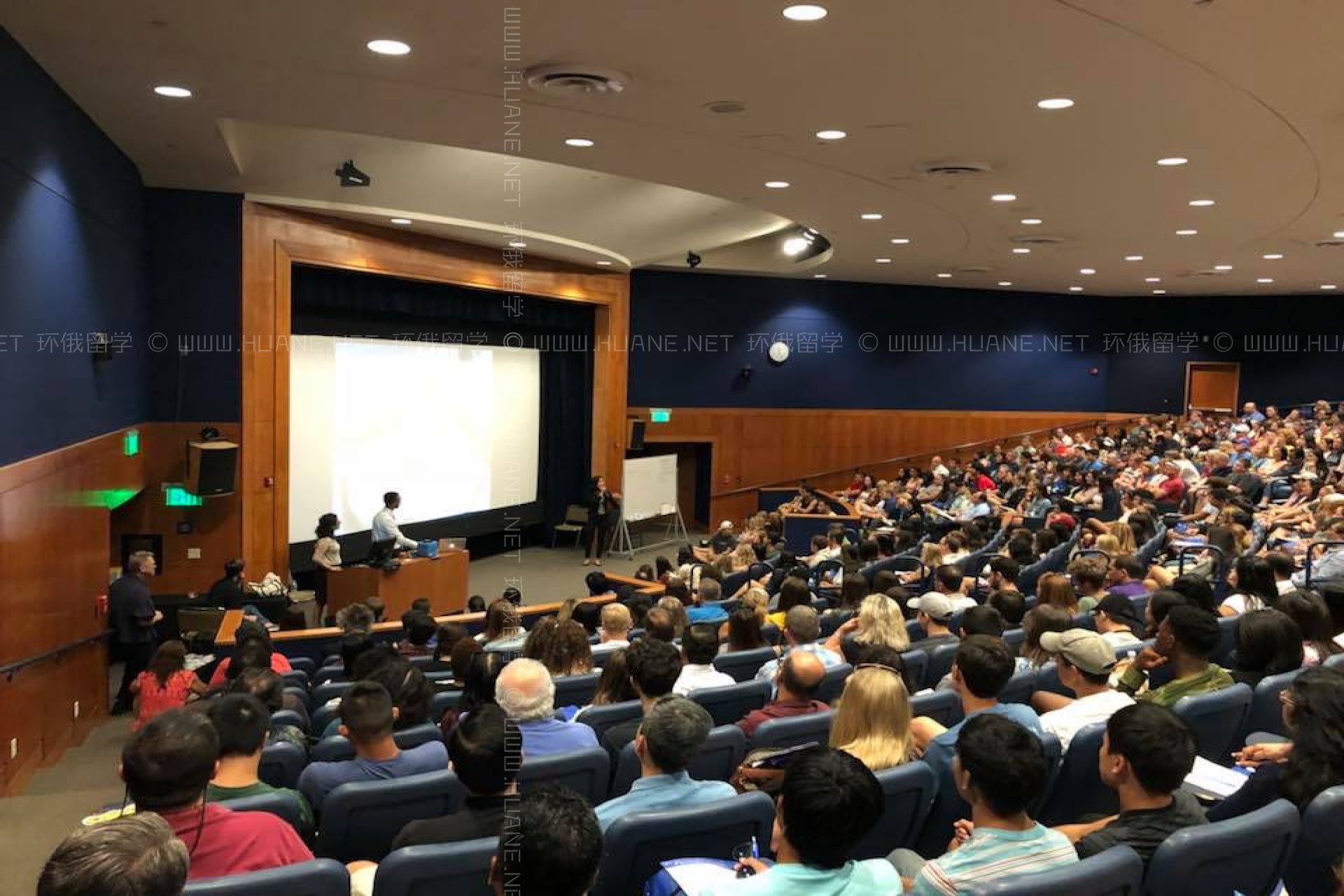 加州大學洛杉磯分校