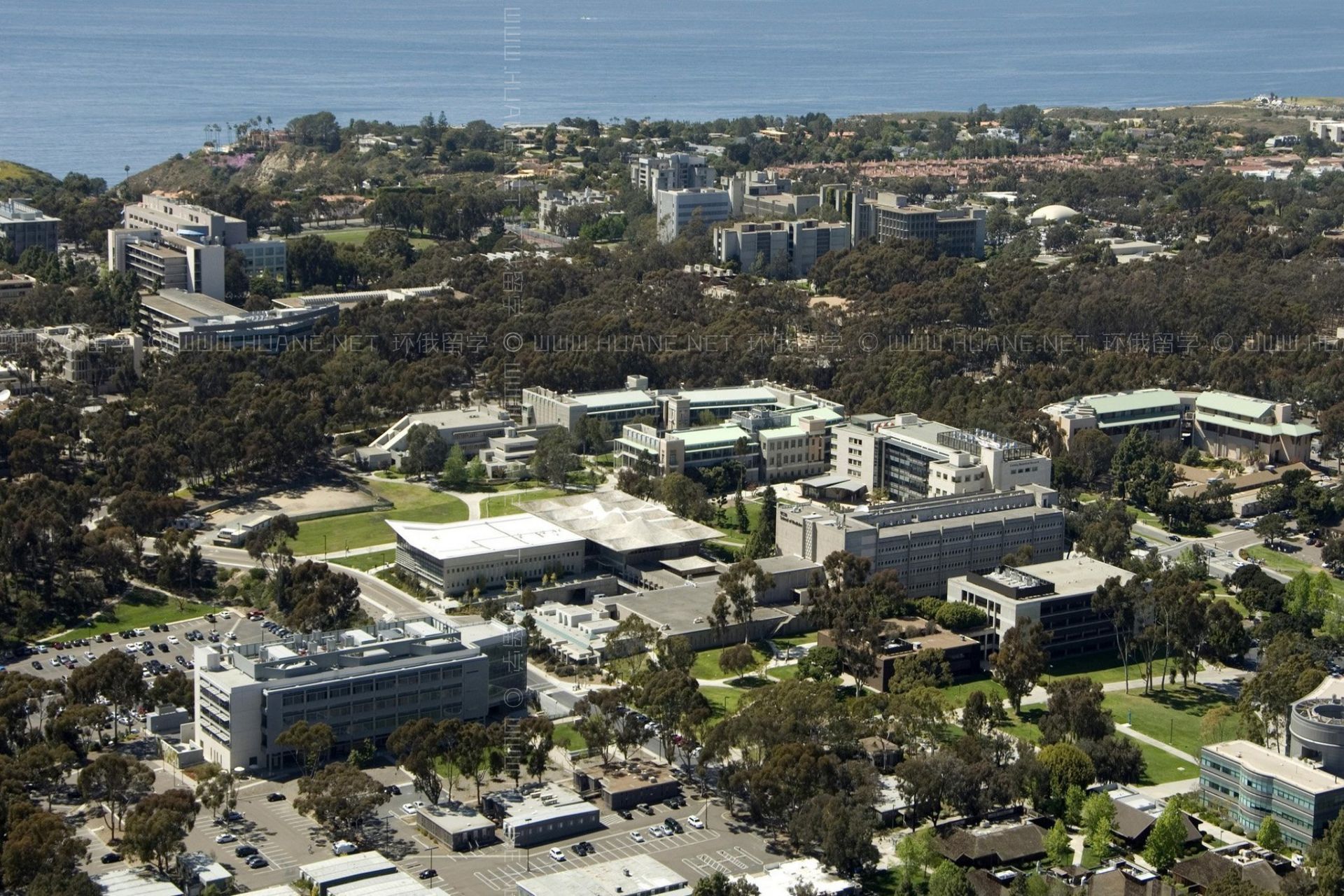 加州大學(xué)圣地亞哥分校