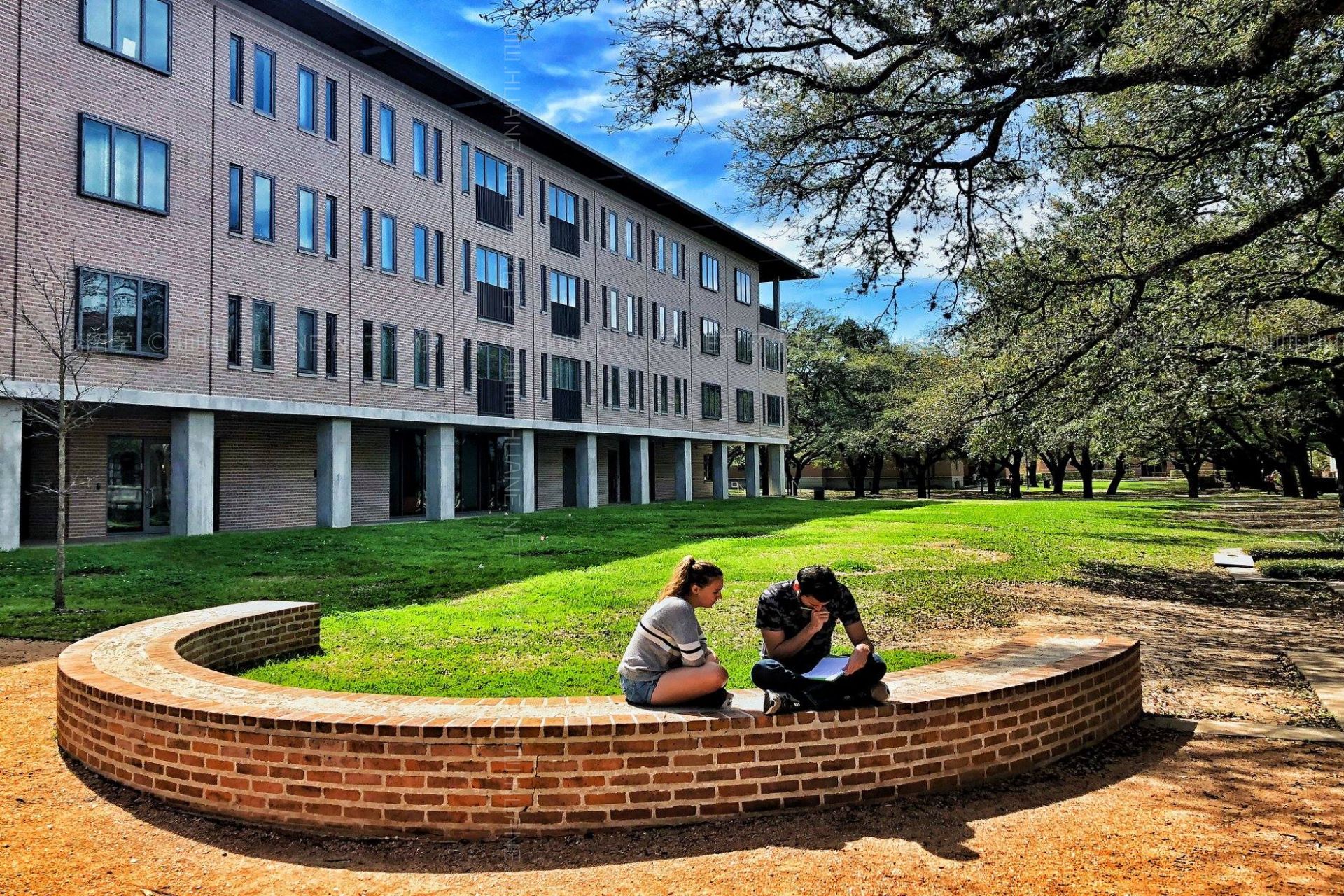 萊斯大學