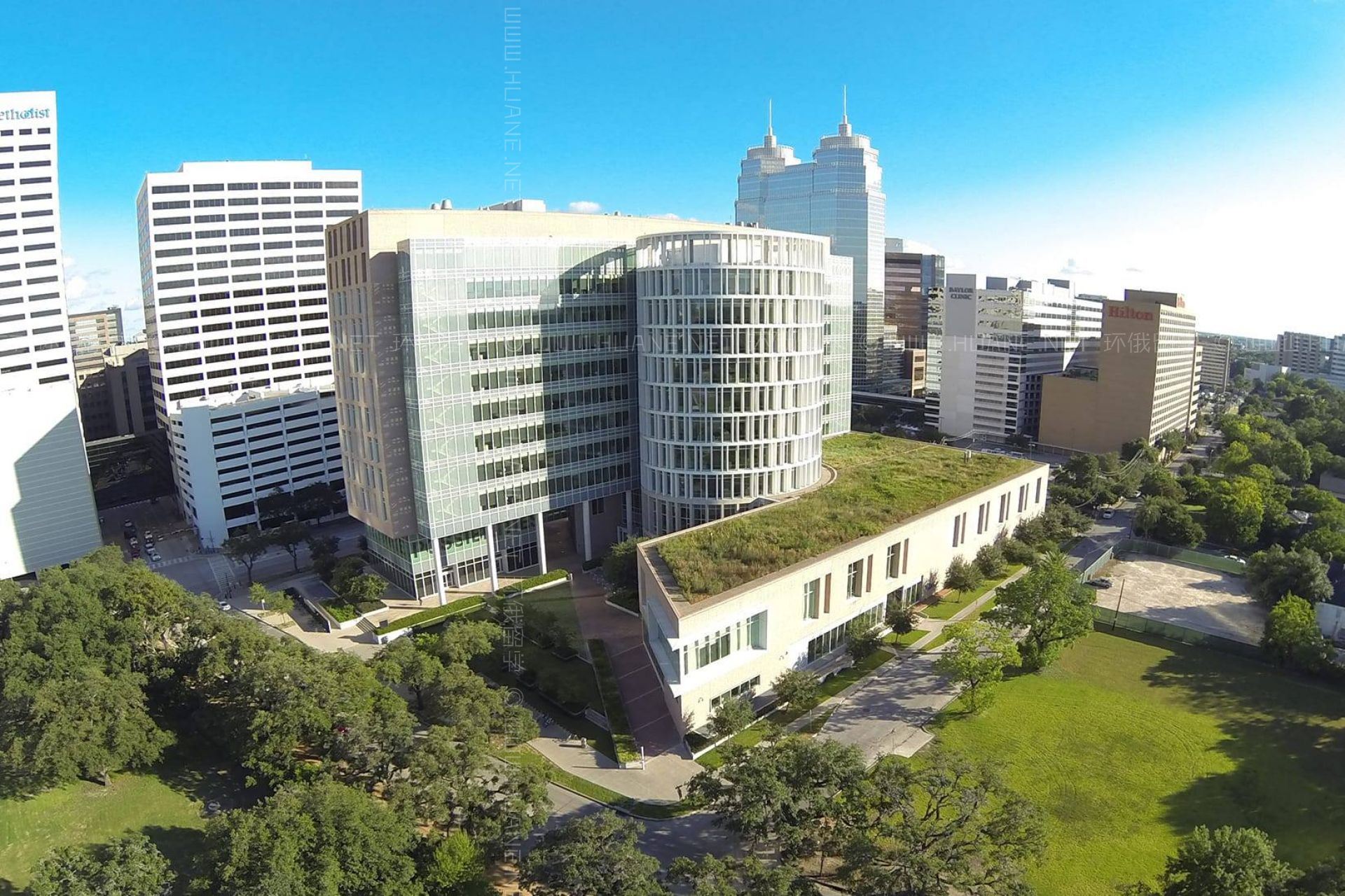 萊斯大學