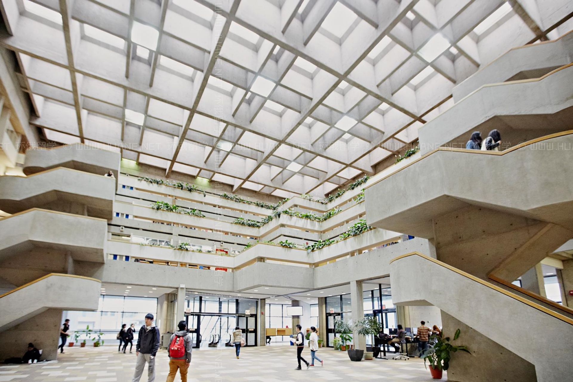 約克大學(xué)