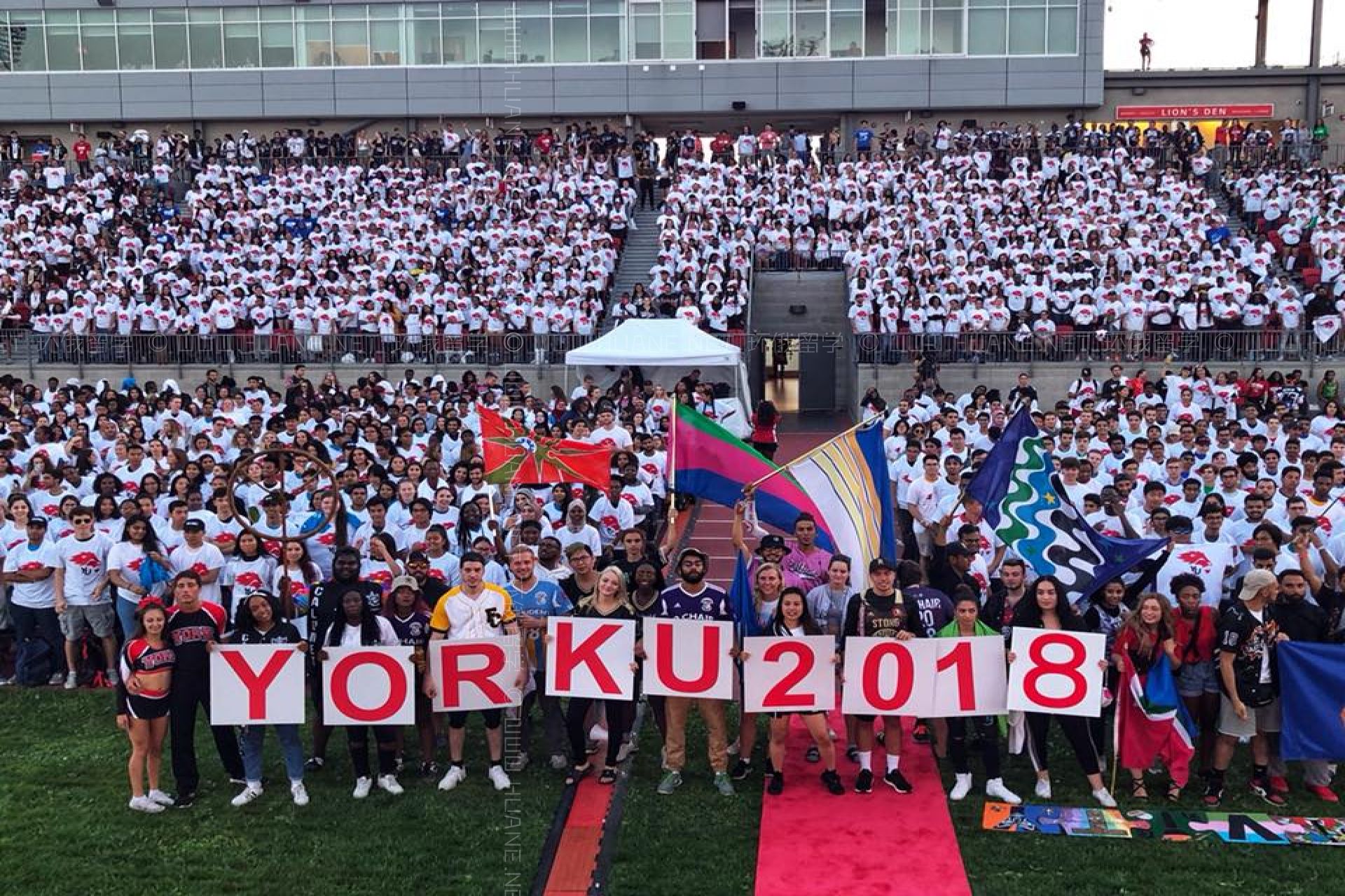 約克大學(xué)