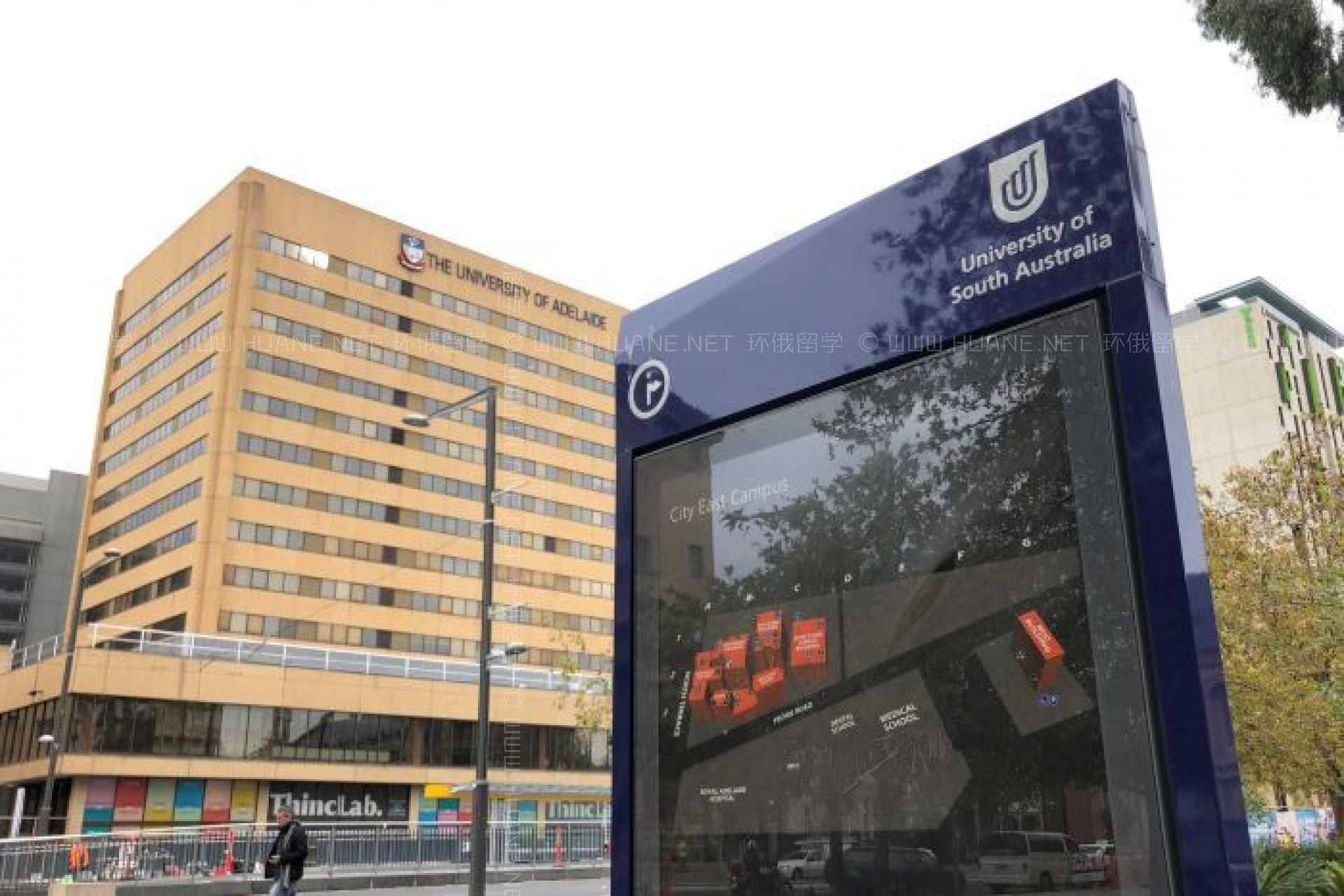 南澳大學
