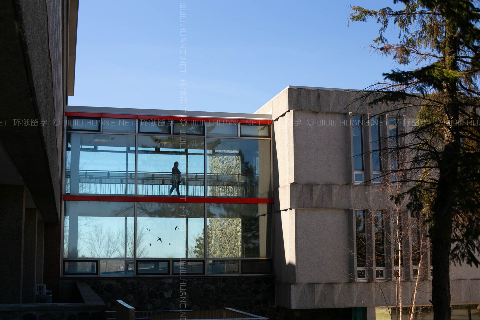 勞倫森大學(xué)