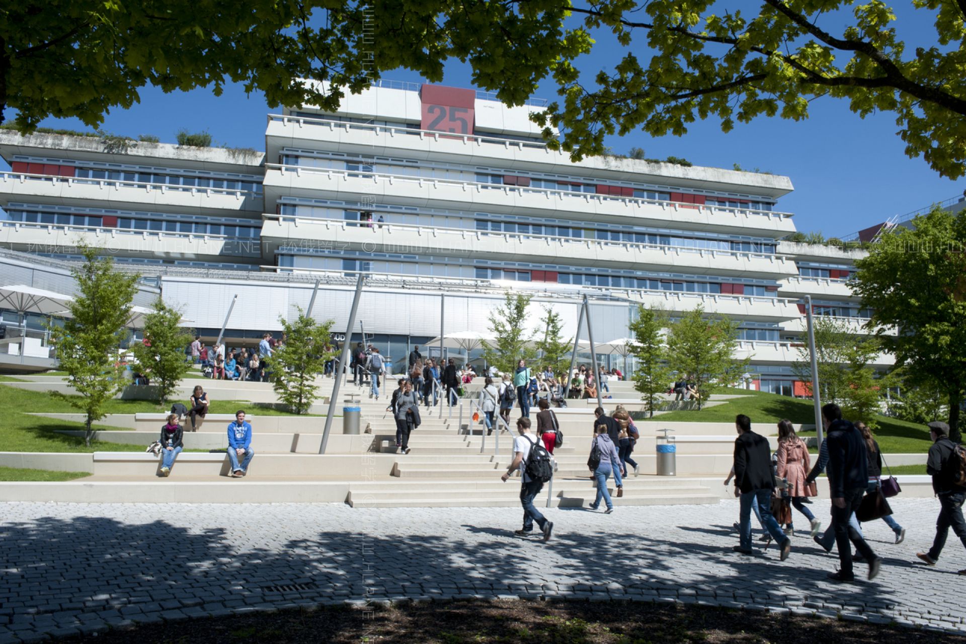 烏爾姆大學(xué)