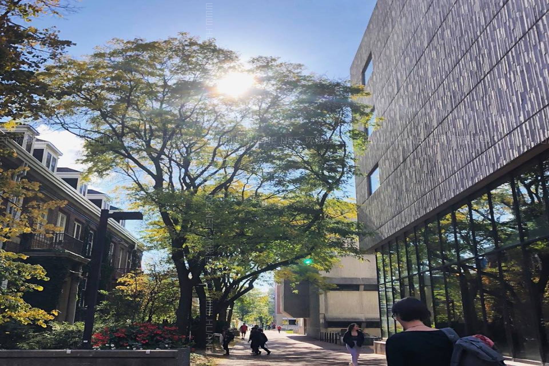 圭爾夫大學