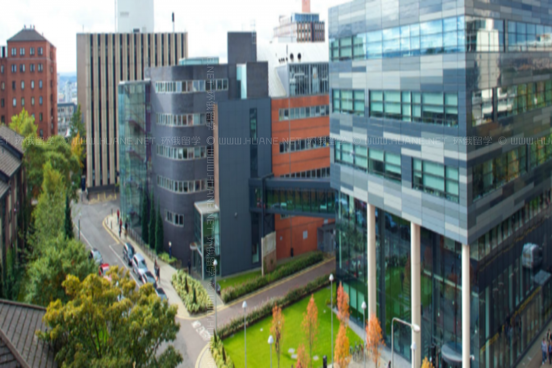 斯凱萊德大學